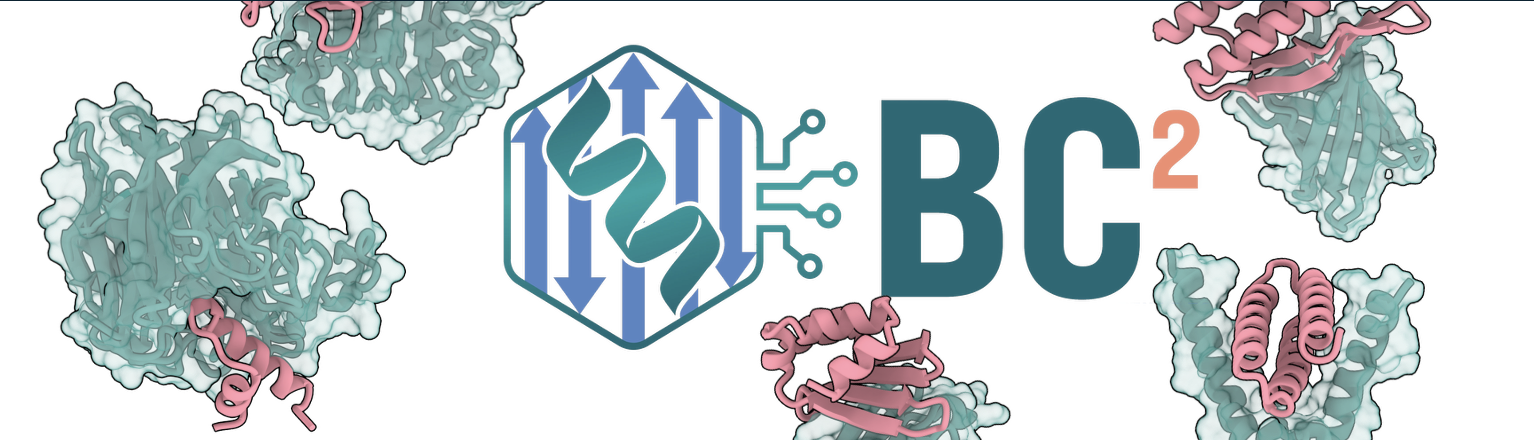 The BC2 logo surrounded by protein targets in teal and designed binders in pink