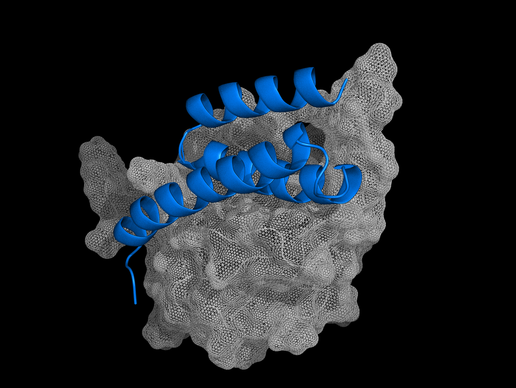 A de novo miniprotein designed with BindCraft binding its target.