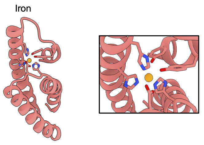 BoltzDesign1 protein-small molecule complex